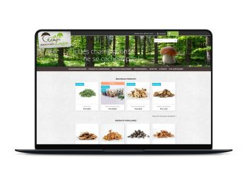 Création d'un site internet pour Champi Lozère