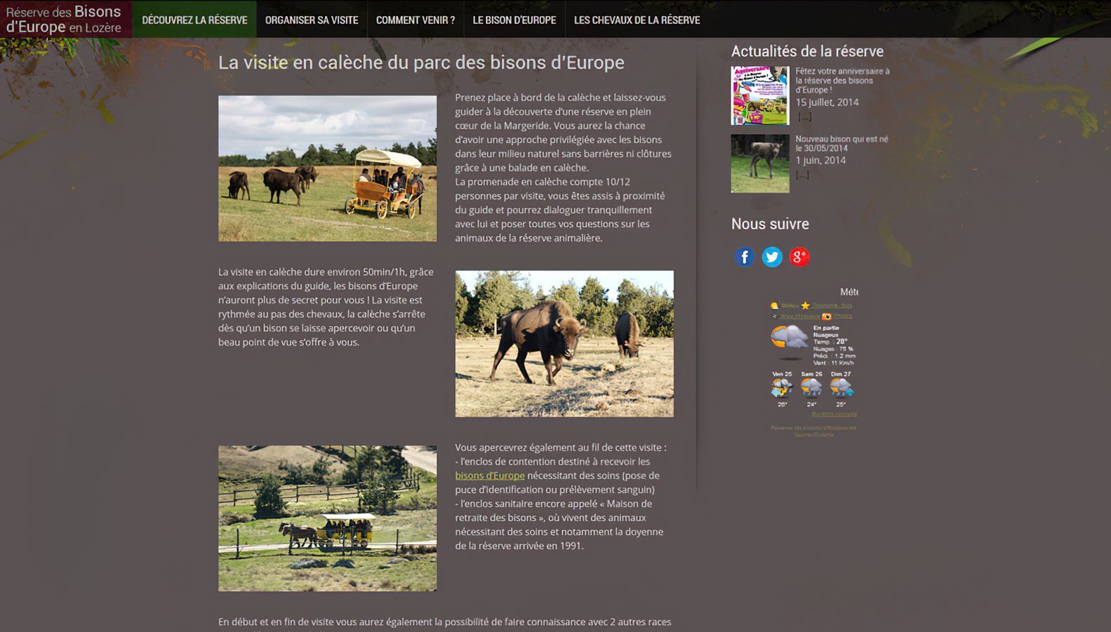 Les Bisons d’Europe