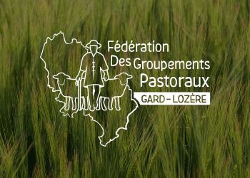 Conception d'un logo four la Fédération des groupements pastoraux Gard Lozere