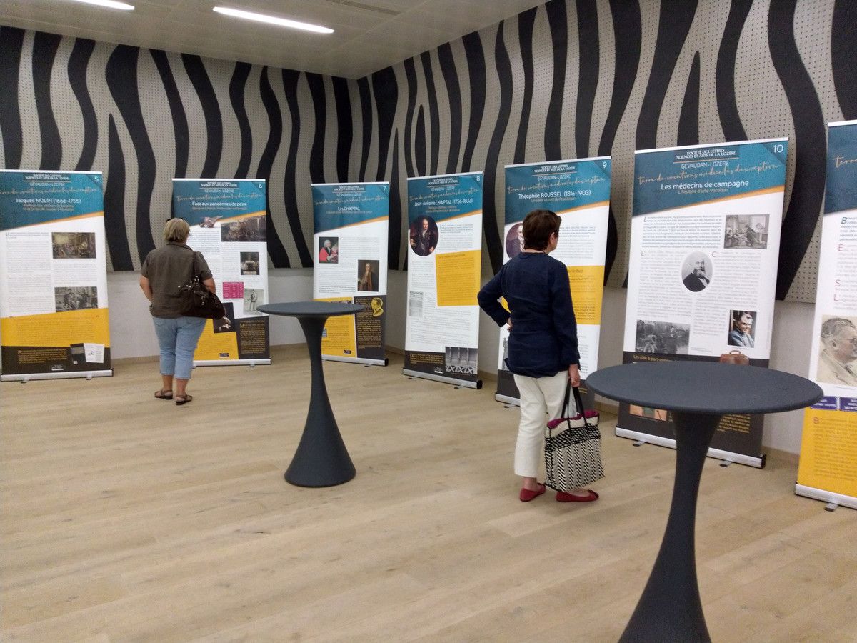 Maquettes pour la Société des lettres sciences et arts